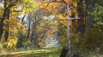 Ein Wald mit einem Kreuz aus Ästen