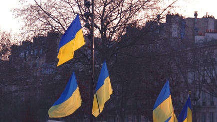 Ukrainische Flaggen