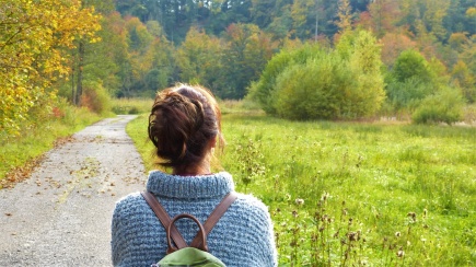 Eine Frau von hinten, wie sie einen einsamen Waldweg bewandert