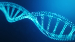 Methoden zur DNA-Veränderung