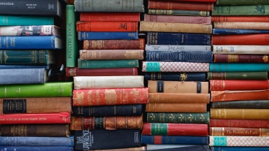 Ein volles Bücherregal