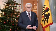 Bundespräsident Frank-Walter Steinmeier 