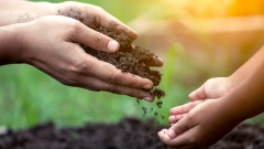 Neue "Kompost-Bestattung- Methode" in Amerika