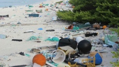 Plastikmüll am Strand. Symbolbild: Die Deutschen wollen weniger Plastik verschwenden und sind für EU-Sanktionen.