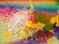 RICE-Regenbogen-Europa