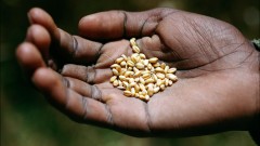 Landwirtschaft in Äthiopien