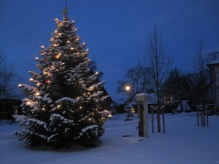 Weihnachtsbaum vor der Abtei