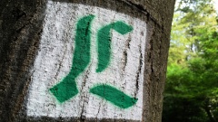 Markierung des Lutherwegs mit einem grünen "L" an einem Baum im Stadtwald in Neu-Isenburg bei Frankfurt am Main am 21.08.2016.
