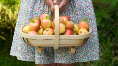 Korb mit Äpfeln