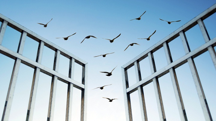 Vögel fliegen über ein geöffnetes Tor.