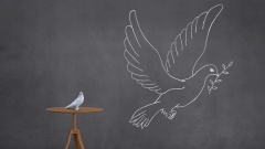Echte Taube und gemalte Friedenstaube auf einer Tafel