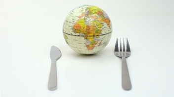 Welthungerbericht, Hunger
