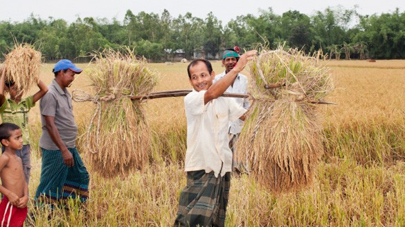 Biobauern in Bangladesh