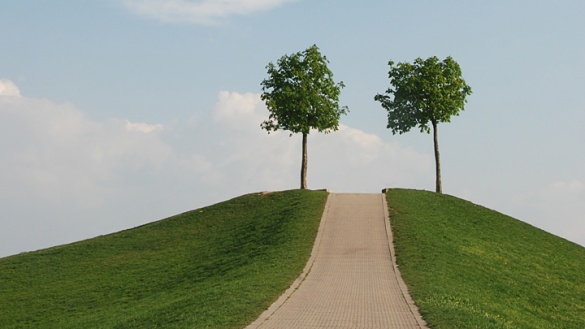 Weg auf einen Hügel mit zwei Bäumen