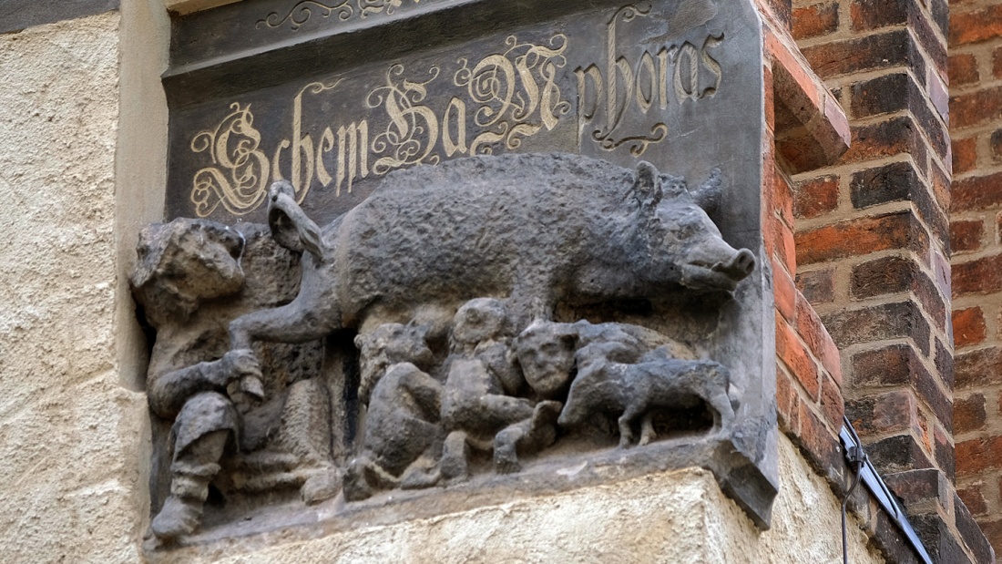 Mittelalterliche "Judensau", ein Schmaeh- u. Spottbild auf die Juden, an der Stadtkirche St. Marien in der Lutherstadt Wittenberg.