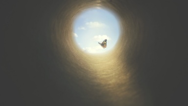 Tunnel mit Schmetterling